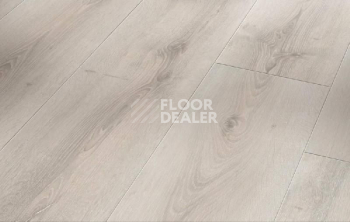 Ламинат Parador Basic Plus 600 XS 1593828 Дуб Аскада Выбеленный фото 1 | FLOORDEALER